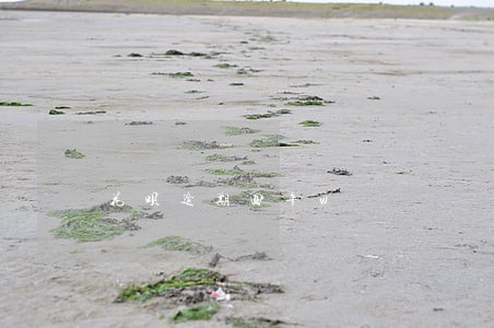 花呗逾期四年w