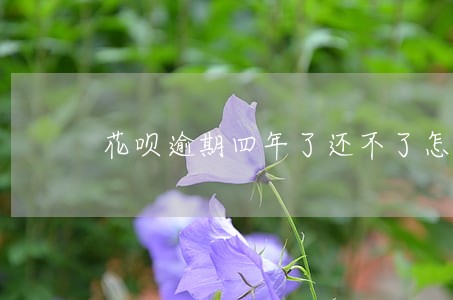 花呗逾期四年了还不了怎么办 花呗逾期四年了还不了怎么办