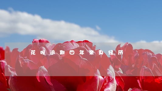 花呗逾期四年亲身经历 花呗逾期四年亲身经历