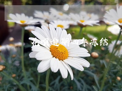 花呗逾期四年冻结 花呗逾期四年冻结