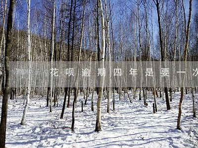 花呗逾期四年是要一次性还清吗 花呗逾期四年是要一次性还清吗