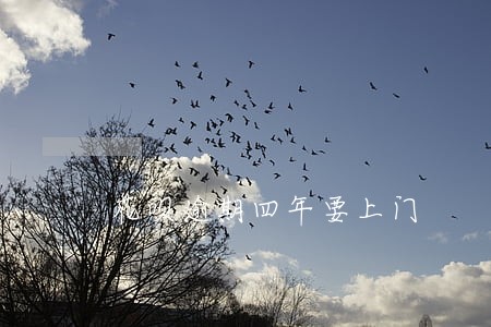 花呗逾期四年要上门 花呗逾期四年要上门