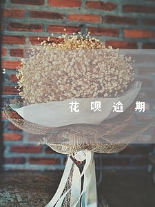 花呗逾期四年还上还能再用吗 花呗逾期四年还上还能再用吗