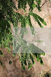 花呗逾期四年还款后还能使用吗 花呗逾期四年还款后还能使用吗
