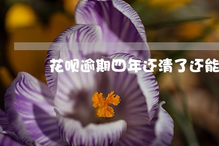 花呗逾期四年还清了还能用吗 花呗逾期四年还清了还能用吗
