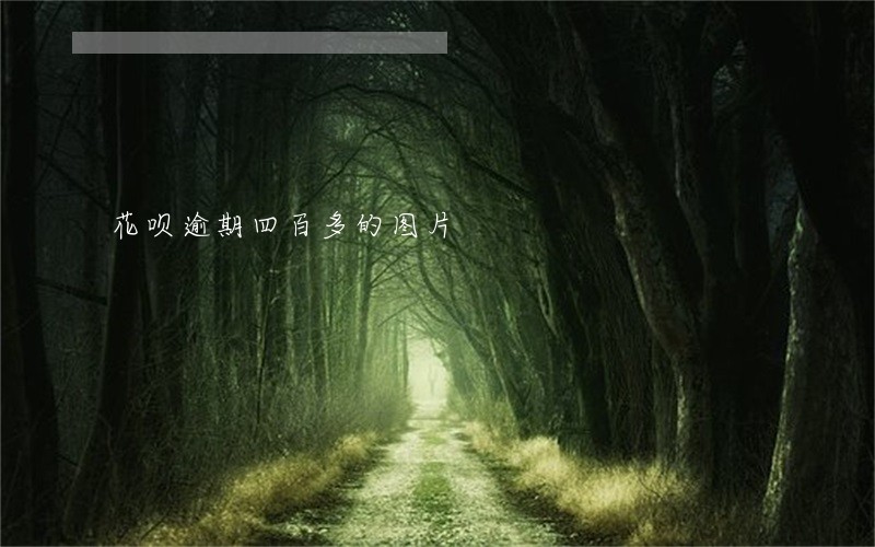 花呗逾期四百多的图片 花呗逾期四百多的图片