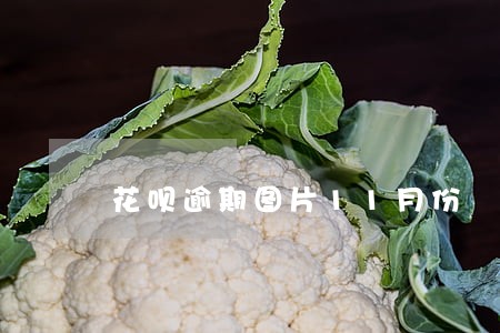 花呗逾期图片11月份 花呗逾期图片11月份