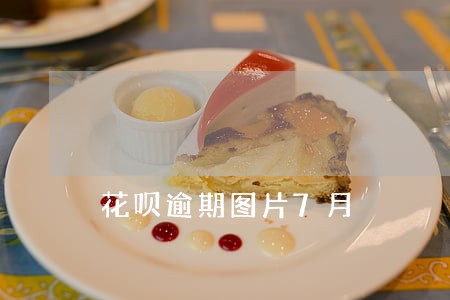花呗逾期图片7月