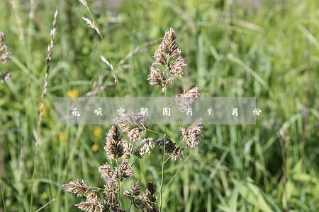 花呗逾期图片9月份 花呗逾期图片9月份