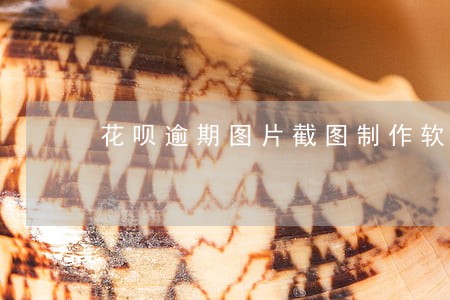 花呗逾期图片截图制作软件 花呗逾期图片截图制作软件