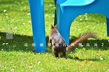 花呗逾期图片截图高清2021 花呗逾期图片截图高清2021