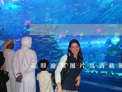 花呗逾期图片高清截图