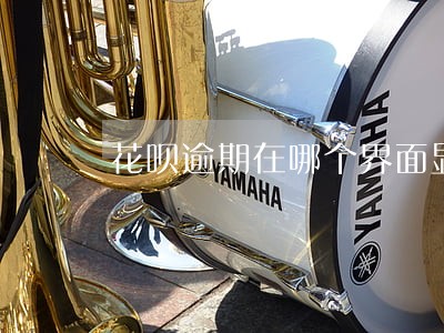 花呗逾期在哪个界面显示 花呗逾期在哪个界面显示
