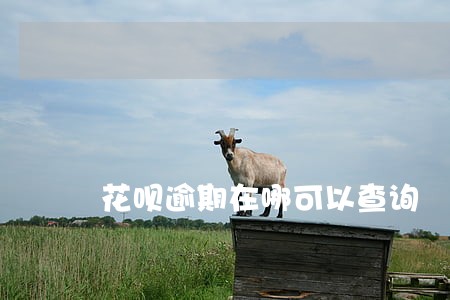 花呗逾期在哪可以查询 花呗逾期在哪可以查询