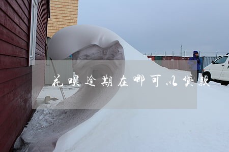 花呗逾期在哪可以贷款 花呗逾期在哪可以贷款