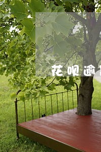 花呗逾期在哪能借贷 花呗逾期在哪能借贷