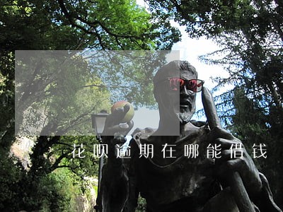 花呗逾期在哪能借钱 花呗逾期在哪能借钱