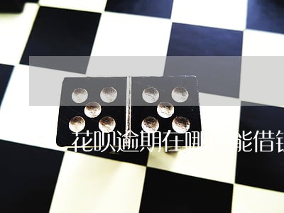 花呗逾期在哪还能借钱 花呗逾期在哪还能借钱