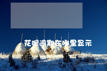 花呗逾期在哪里显示 花呗逾期在哪里显示