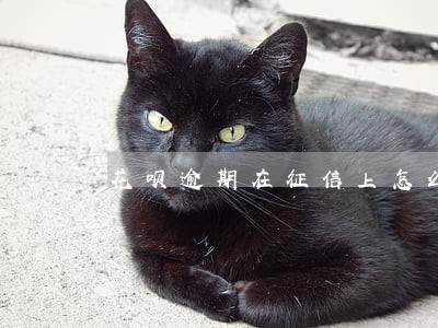 花呗逾期在征信上怎么显示 花呗逾期在征信上怎么显示