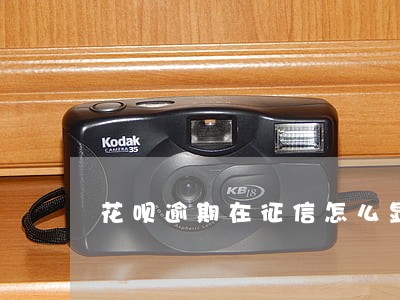 花呗逾期在征信怎么显示 花呗逾期在征信怎么显示