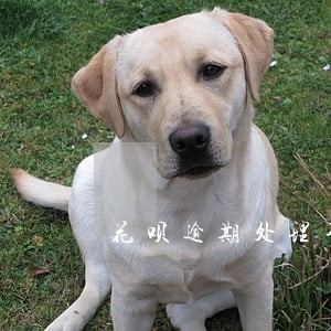 花呗逾期处理不好上报 花呗逾期处理不好上报
