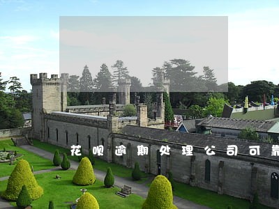 花呗逾期处理公司可靠吗