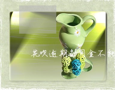 花呗逾期备用金不能用 花呗逾期备用金不能用