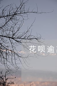 花呗逾期备用金什么时候可以用 花呗逾期备用金什么时候可以用