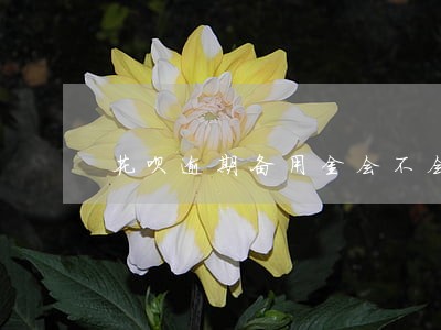 花呗逾期备用金会不会关 花呗逾期备用金会不会关