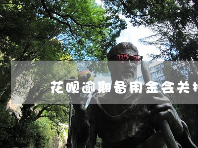 花呗逾期备用金会关掉吗 花呗逾期备用金会关掉吗