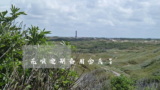 花呗逾期备用金关了 花呗逾期备用金关了