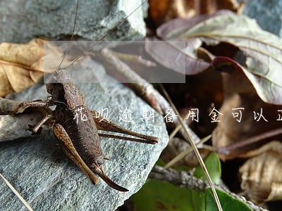 花呗逾期备用金可以正常使用么 花呗逾期备用金可以正常使用么