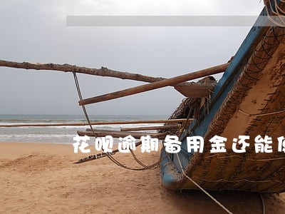 花呗逾期备用金还能使用吗