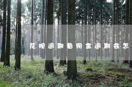 花呗逾期备用金逾期会怎样 花呗逾期备用金逾期会怎样