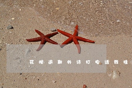 花呗逾期外访打电话我挂断了