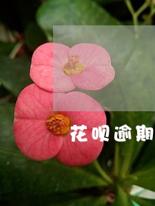 花呗逾期外访部电话 花呗逾期外访部电话