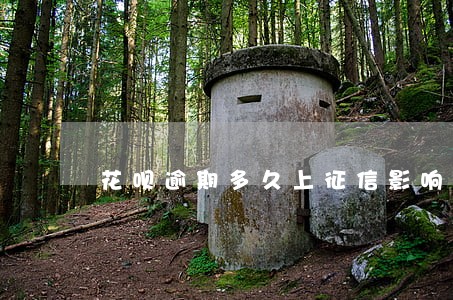 花呗逾期多久上征信影响多久 花呗逾期多久上征信影响多久