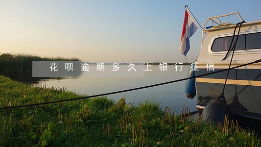 花呗逾期多久上银行征信 花呗逾期多久上银行征信