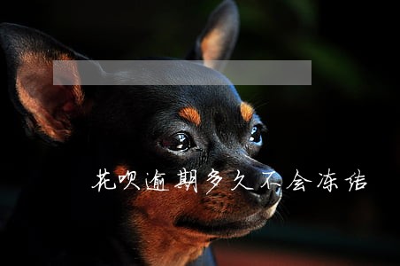花呗逾期多久不会冻结 花呗逾期多久不会冻结
