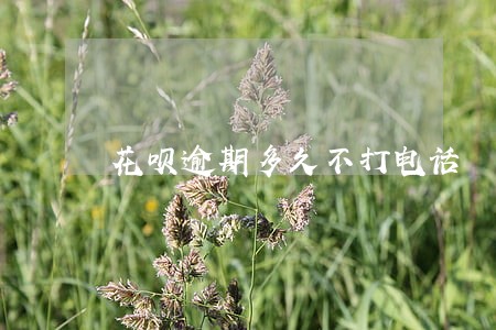 花呗逾期多久不打电话 花呗逾期多久不打电话