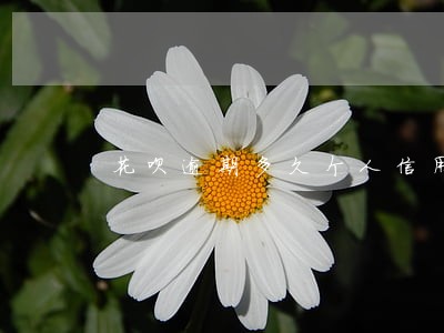 花呗逾期多久个人信用受影响