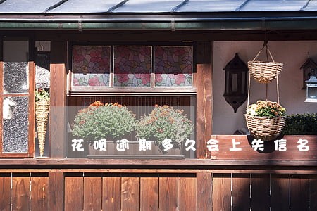 花呗逾期多久会上失信名单 花呗逾期多久会上失信名单