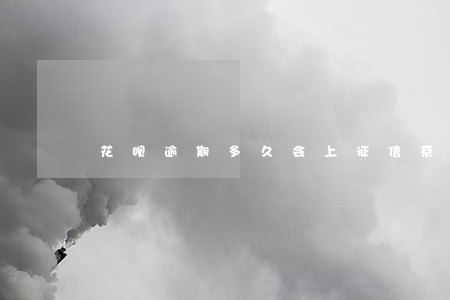 花呗逾期多久会上征信系统 花呗逾期多久会上征信系统
