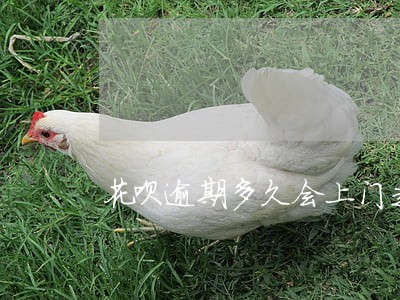 花呗逾期多久会上门走访 花呗逾期多久会上门走访