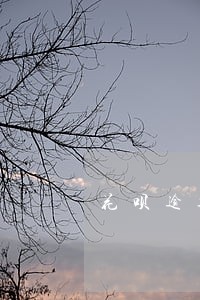 花呗逾期多久会下款 花呗逾期多久会下款