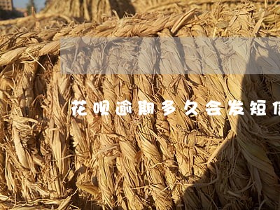 花呗逾期多久会发短信和打电话 花呗逾期多久会发短信和打电话