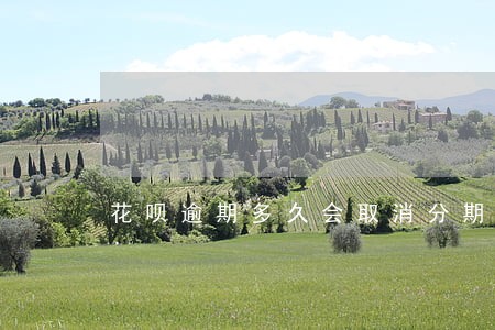 花呗逾期多久会取消分期 花呗逾期多久会取消分期