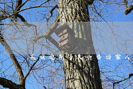 花呗逾期多久会告诉家人 花呗逾期多久会告诉家人