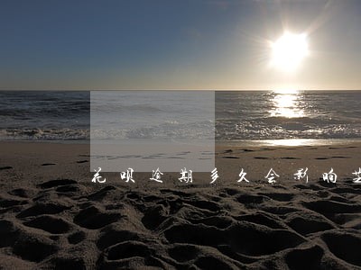花呗逾期多久会影响芝麻信用分